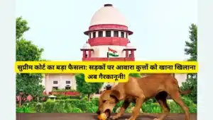 सुप्रीम कोर्ट का बड़ा फैसला सड़कों पर आवारा कुत्तों को खाना खिलाना अब गैरकानूनी!