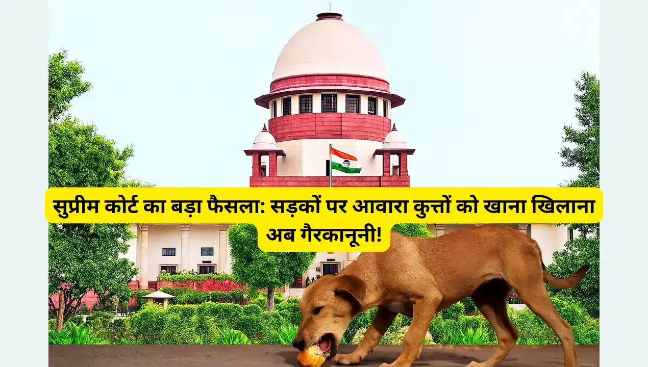 सुप्रीम कोर्ट का बड़ा फैसला सड़कों पर आवारा कुत्तों को खाना खिलाना अब गैरकानूनी!
