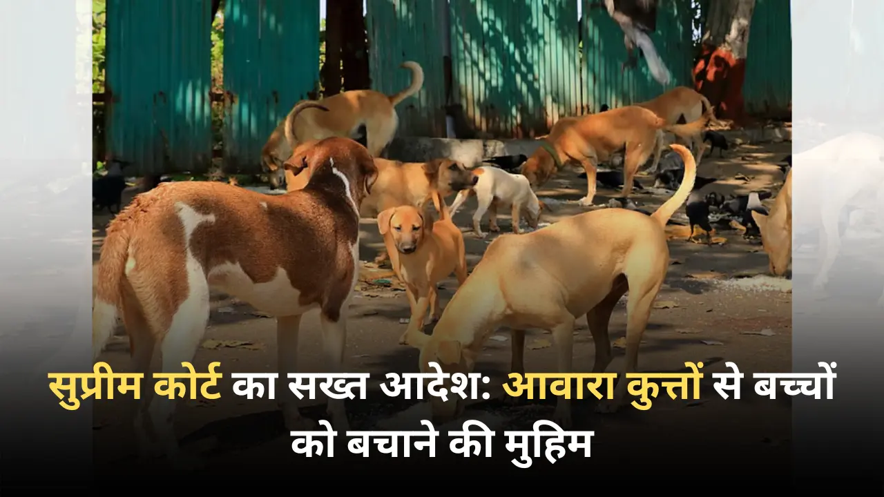 सुप्रीम कोर्ट का सख्त आदेश आवारा कुत्तों से बच्चों को बचाने की मुहिम